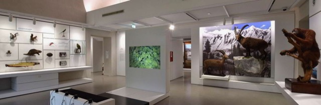 Al Museo di Storia Naturale di Pavia arriva Abbonamento musei: fila a nanna!
