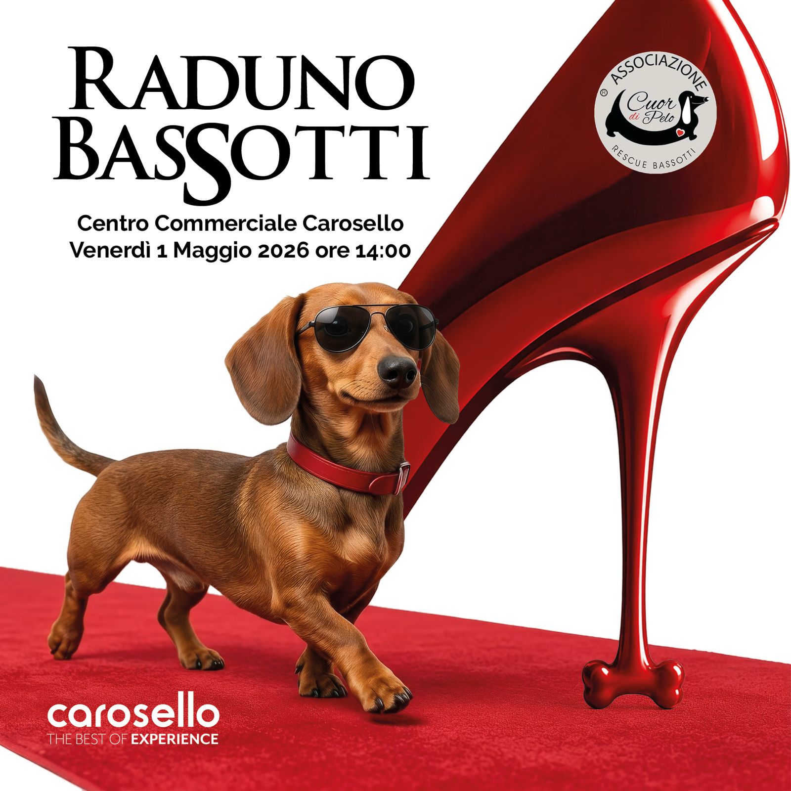 Al Centro Commerciale Carosello torna il raduno di bassotti